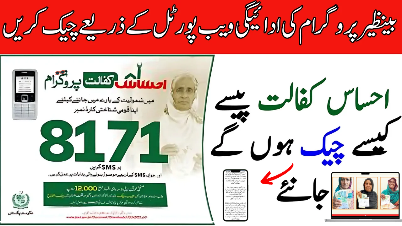 BISP 8171 Benazir Income Support Programme check online (1)
