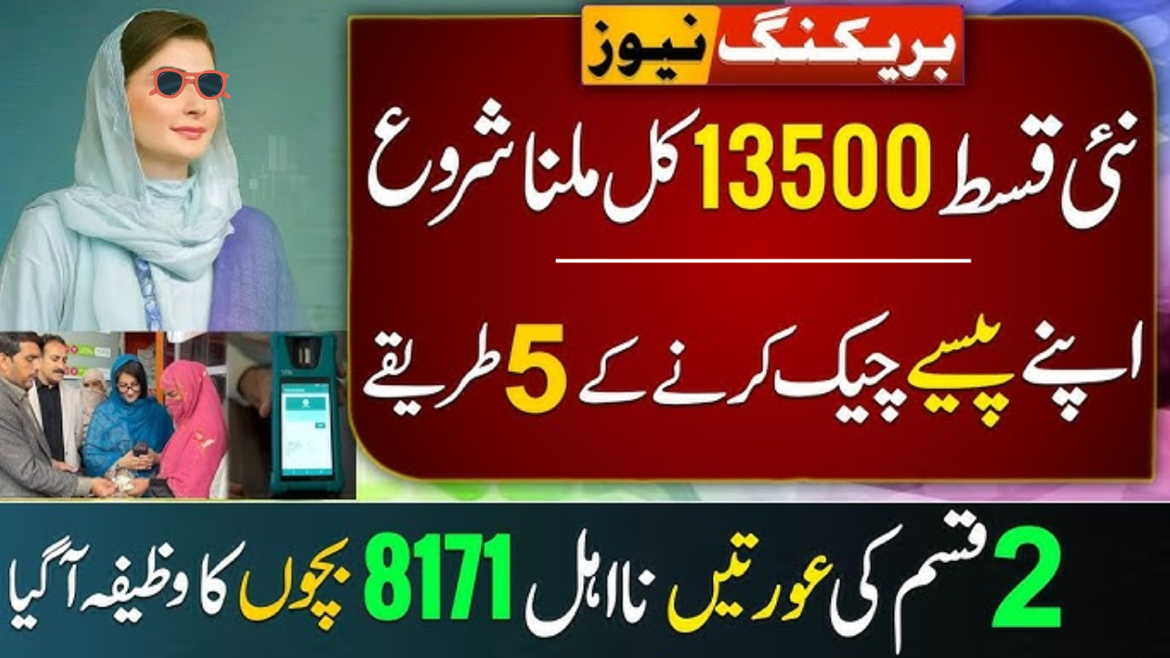 BISP Payment Check Method 2025 – Easy Guide for All
