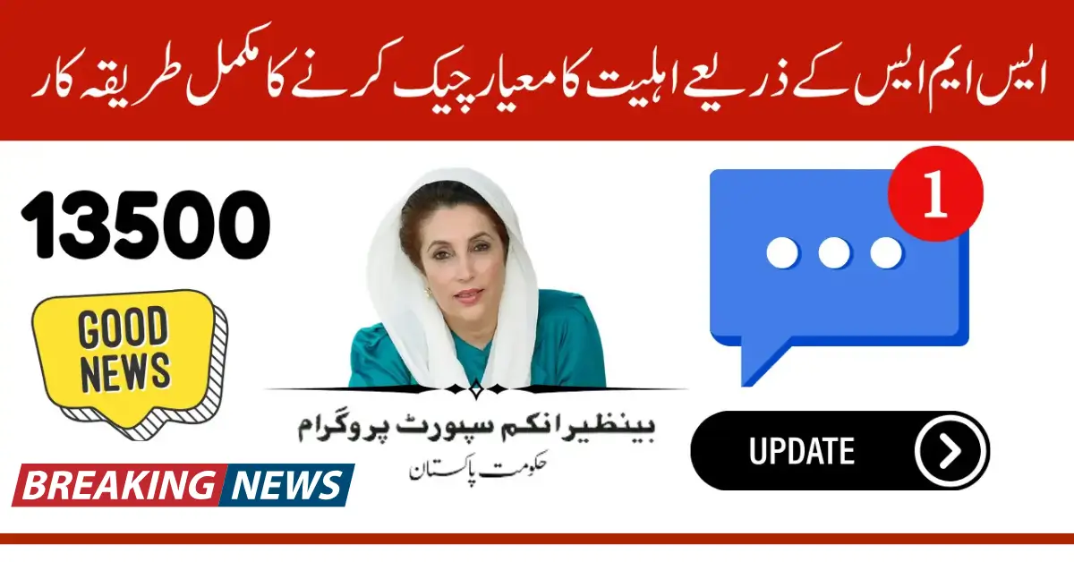 BISP SMS Payment Status Check – Verify BISP 8171 Eligibility Online in 2025
