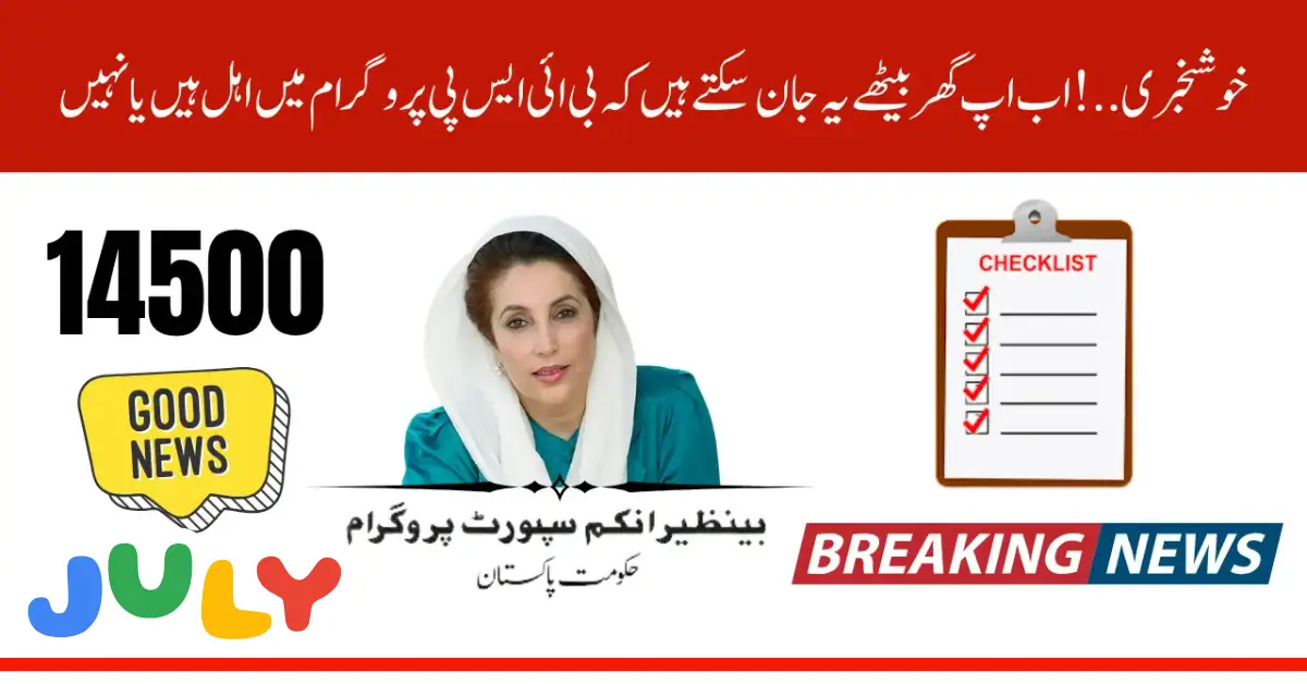 8171 Registration Check by CNIC – Complete Guide for 2025 Beneficiaries