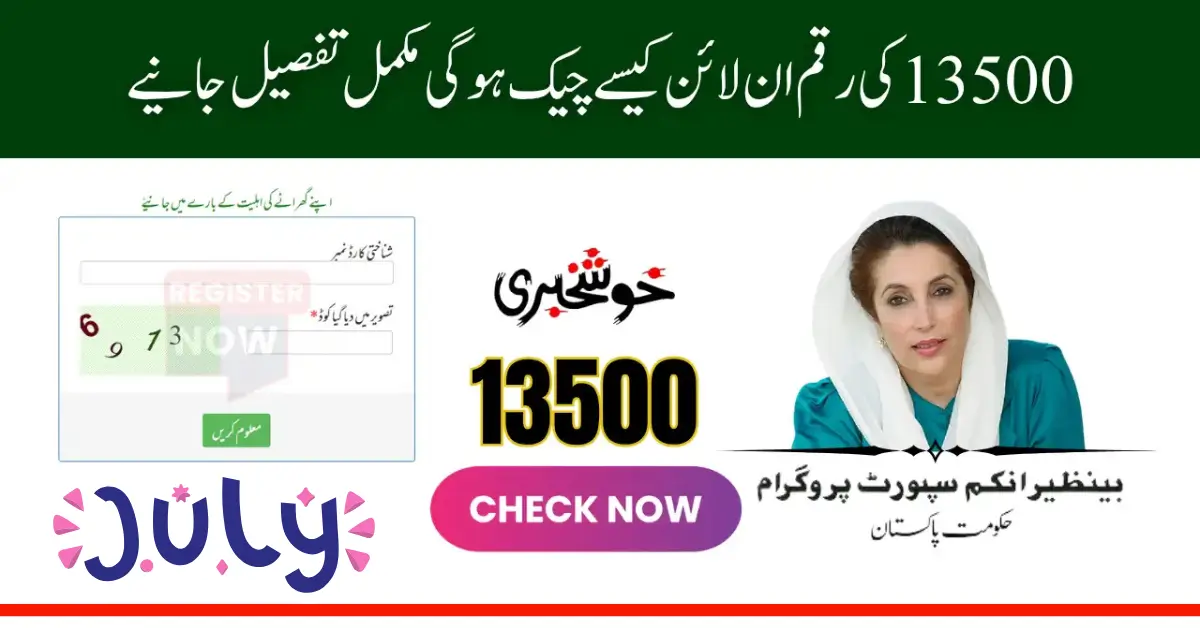 8171 Web Portal CNIC 13500 Installment Verification for July–August 2025