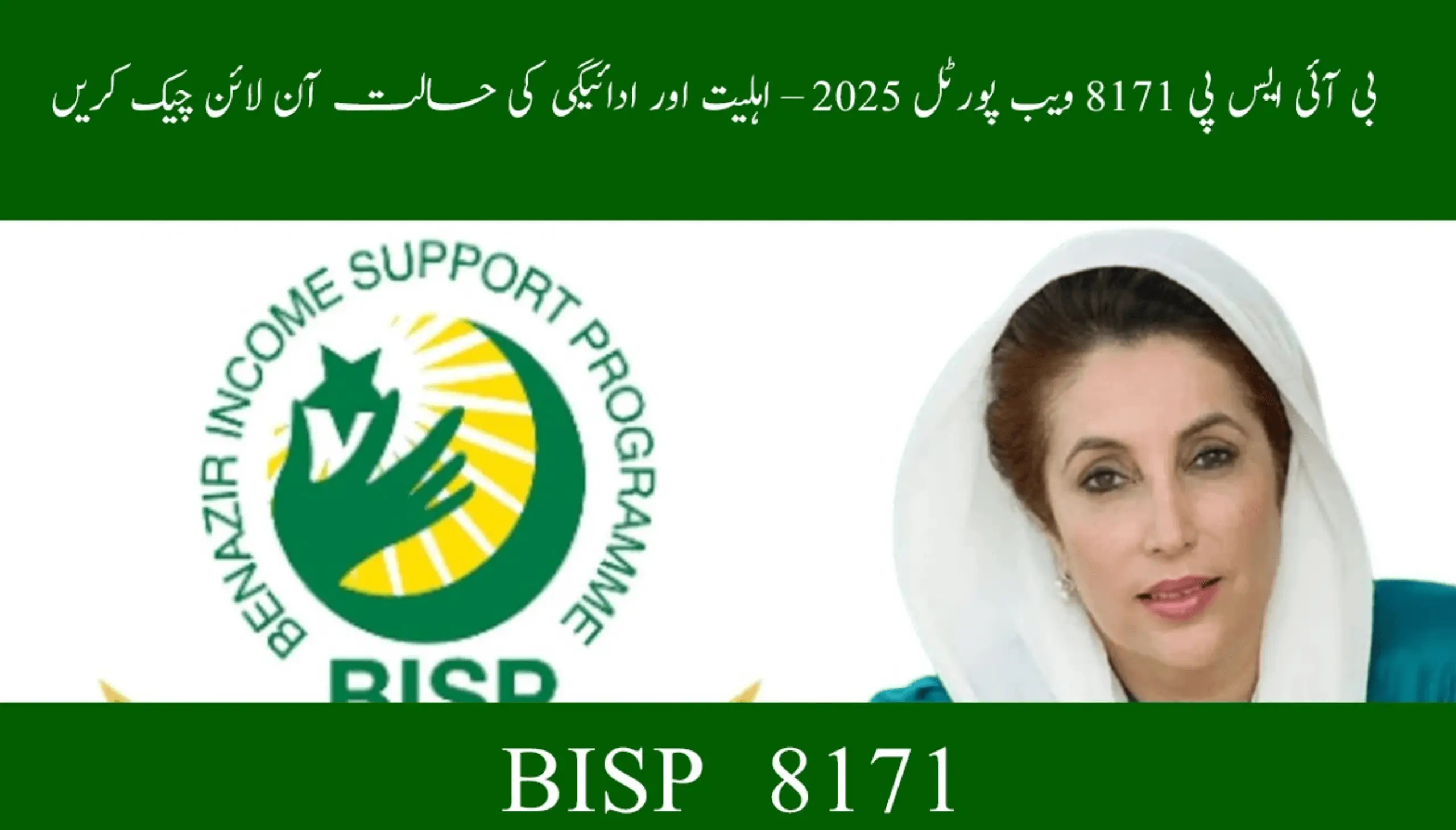 BISP 8171 Web Portal Full Walkthrough for 2025