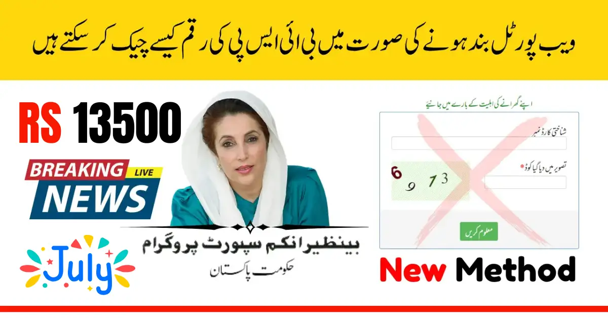 How to Check BISP 8171 Application Status Online Using Tracking Portal 2025